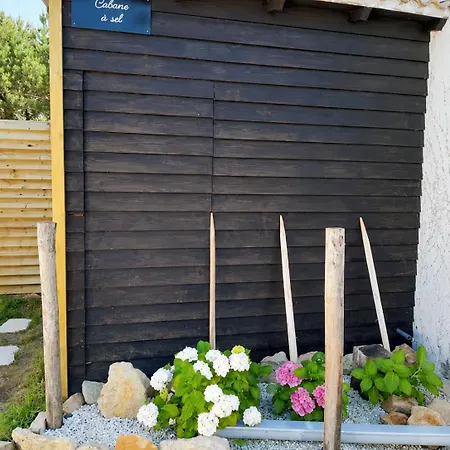 Tatil Evi A Sel